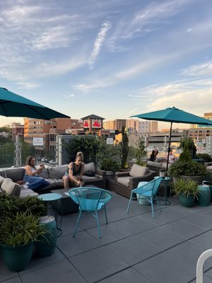 Botanical Lounge by null