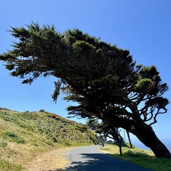 Point Reyes National Seashore - Parks Near Me - Point Reyes Station, California Point Reyes National Seashore - Parks Near Me - Point Reyes Station, California