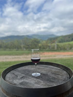 Addison Farms Vineyard by null