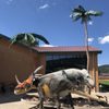 Rocky Mountain Dinosaur Resource Center gift card