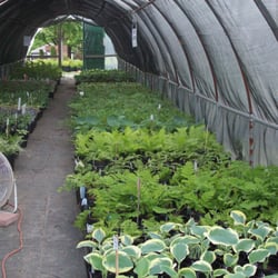 Hartke Nursery