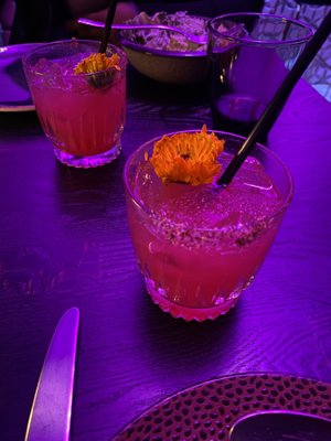 The Mayflower Club by null