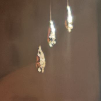 Ticuchi - Bats - Mexican Near Me - Ciudad de México, DIF
