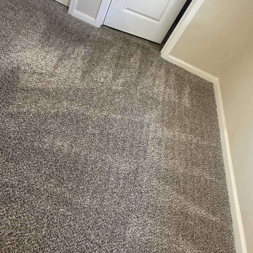 Evercleen Carpet & Upholstery - Upstairs job. - Carpet Cleaning Near Me Evercleen Carpet & Upholstery - Upstairs job. - Carpet Cleaning Near Me