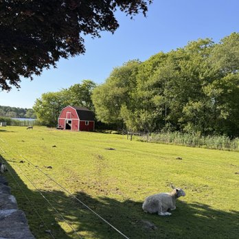 The Nordic - Barn animals - Buffets Near Me - Charlestown, Rhode Island