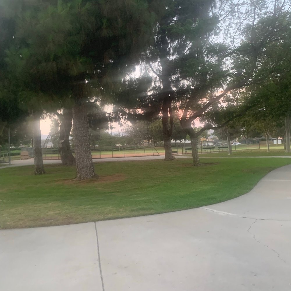 Eucalyptus Park - sidewalk - Parks Near Me - Anaheim, California Eucalyptus Park - sidewalk - Parks Near Me - Anaheim, California