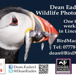 London Camera Exchange - http://www.birdmad.com/