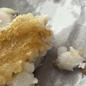 The CODfather Proper Fish & Chips - Hair on my fish. Didn't noticed it until I flipped the fish over. Absolutely disgusting. - Fish & Chips Near Me - North Charleston, South Carolina The CODfather Proper Fish & Chips - Hair on my fish. Didn't noticed it until I flipped the fish over. Absolutely disgusting. - Fish & Chips Near Me - North Charleston, South Carolina