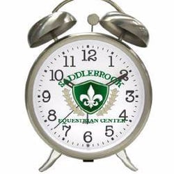 Time's Running Out! Hurry on over to our website ( www.saddlebrookequestrian.com) to guarantee your spot in our Summer Camp!