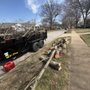 Photo of Top Notch Tree And Lawn