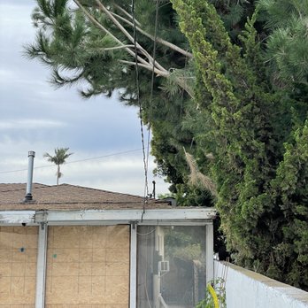 Vera’s Tree Service - Before - Landscaping Near Me - Gardena, California