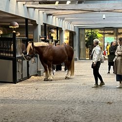 Visit Carlsberg