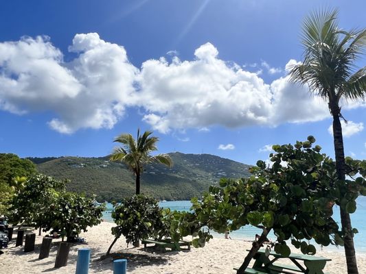 Magens Bay Beach by null