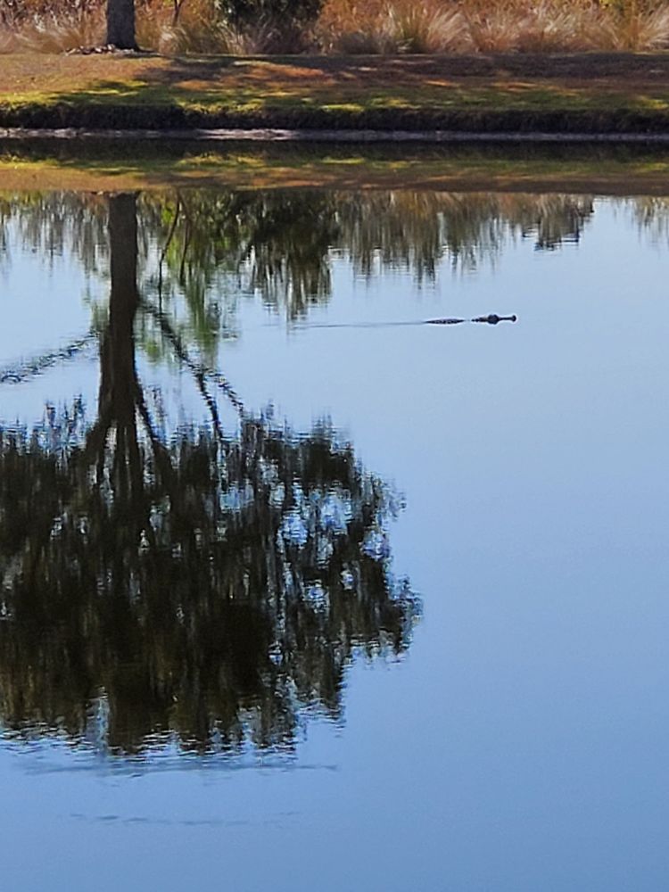 Slide of Foundation Roofing and Construction