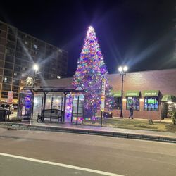 Edward Everett Square