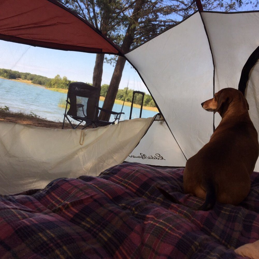 Lake Murray State Park - Oliver enjoyed his first camping experience at Lake Murray State Park. - Lakes Near Me - Ardmore, Oklahoma Lake Murray State Park - Oliver enjoyed his first camping experience at Lake Murray State Park. - Lakes Near Me - Ardmore, Oklahoma