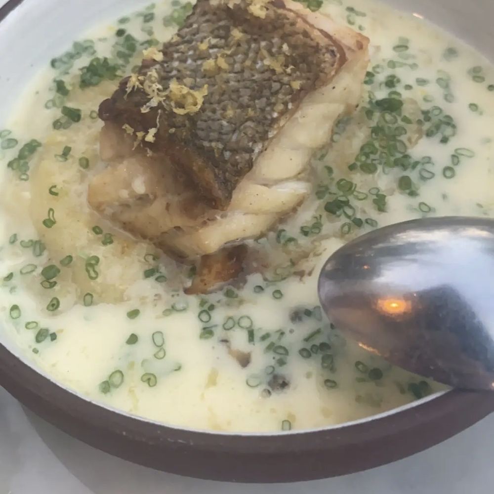 Valentina - Sea bass - Seafood Near Me - Encinitas, California Valentina - Sea bass - Seafood Near Me - Encinitas, California