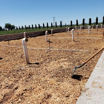 Peltier Winery - Red worm farm (sawdust) - Wineries Near Me - Acampo, California