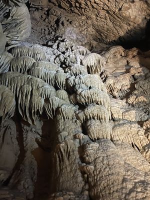 Oregon Caves National Monument & Preserve by null