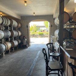 Ayres Vineyard
