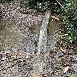 Secret Falls - Cross the tree