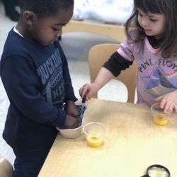 The Mosaic School