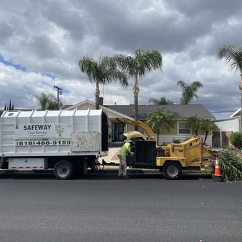 Safeway Tree Service - Safeway Tree Service Equipment - Tree Services Near Me Safeway Tree Service - Safeway Tree Service Equipment - Tree Services Near Me