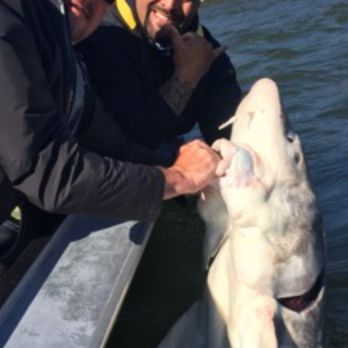 Mundens Rising son adventures - Fishing Near Me - Pasco, Washington Mundens Rising son adventures - Fishing Near Me - Pasco, Washington