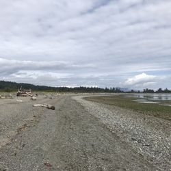 Island View Beach Regional Campground - Beach