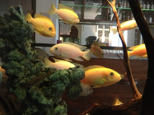 Hopper Hotel St. Josef by null