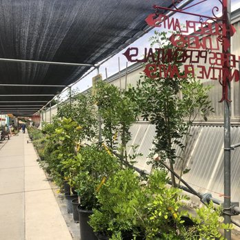 Sierra Vista Growers - Nurseries & Gardening Near Me - Anthony, New Mexico