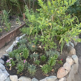 Mikes Maintenance - Gardeners Near Me Mikes Maintenance - Gardeners Near Me