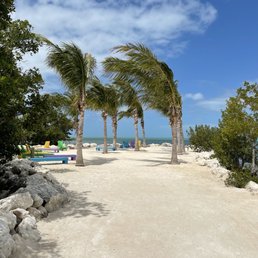 Beach area