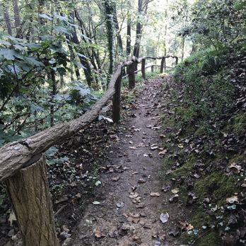 OM Sanctuary - Hiking trail behind hotel. - Health Retreats Near Me - Asheville, North Carolina OM Sanctuary - Hiking trail behind hotel. - Health Retreats Near Me - Asheville, North Carolina