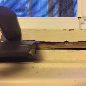 Deer Lodge - The bugs enter through cracks between the window and the wall. - Hotels Near Me - Lake Louise, Alberta