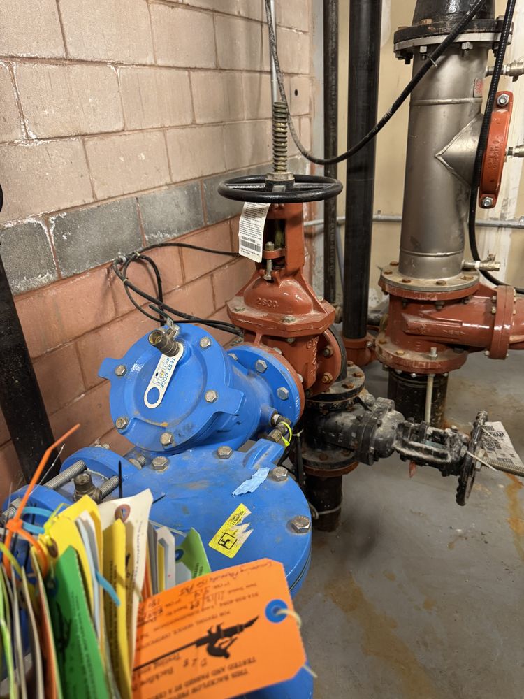 Slide of Backflow Joe's