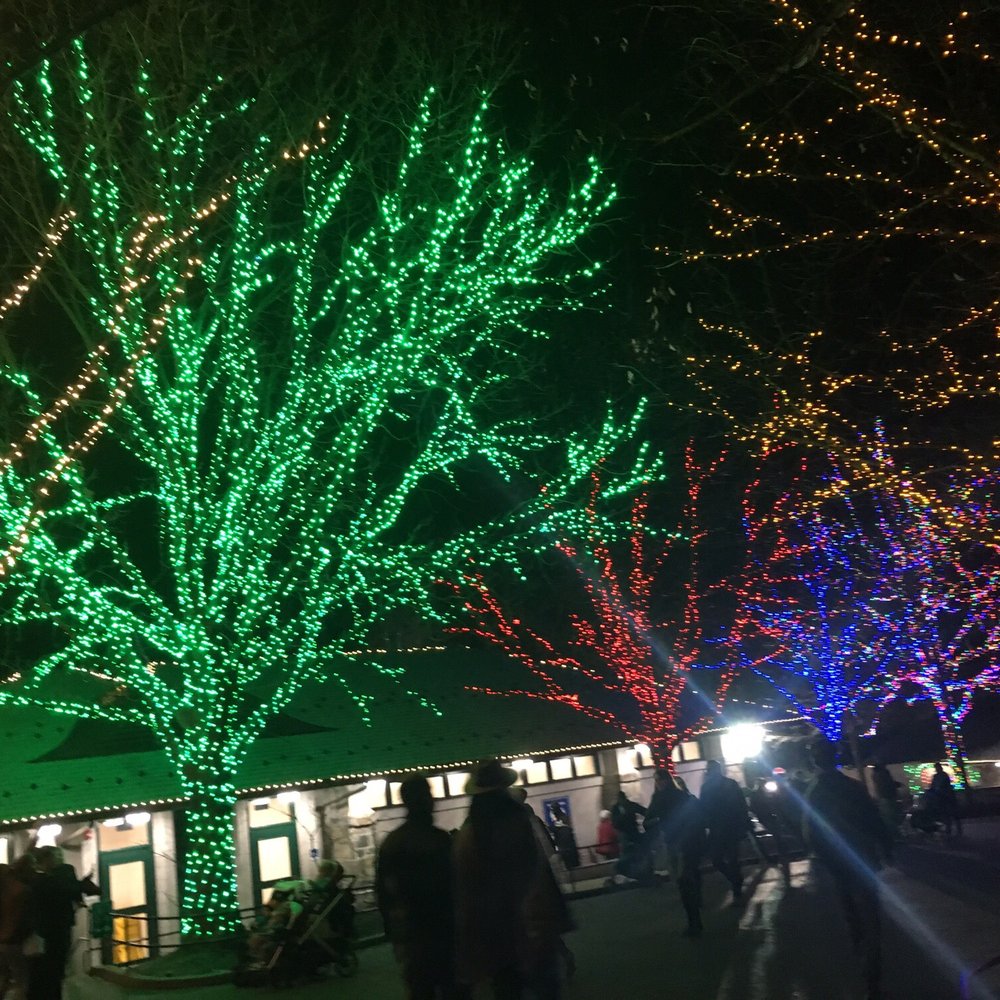 ZooLights - Zoos Near Me - Washington, DC, District of Columbia