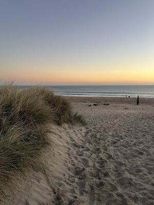 Limantour Beach by null