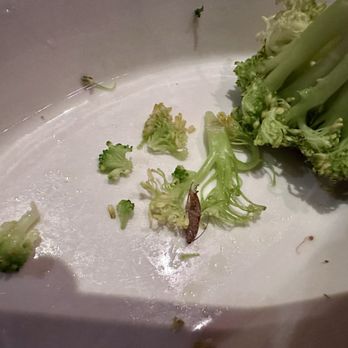 RUBY RIVER STEAKHOUSE - Updated August 2024 - 788 Photos & 887 Reviews ...