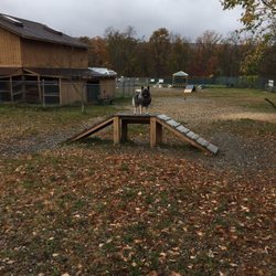 West Milford Dog Park