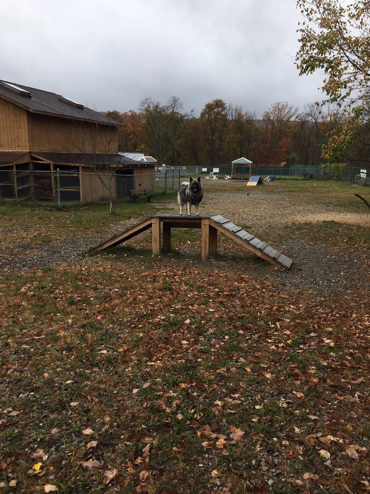 WEST MILFORD DOG PARK Updated September 2024 12 Photos 85