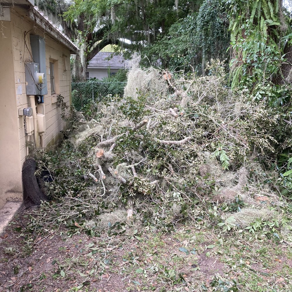 Parish Tree Service - Debris that was left for days that was ant infested and I had to remove - Lawn Services Near Me