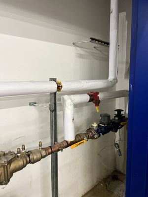 Proteus Plumbing Logo