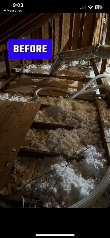 Slide of Texans Choice