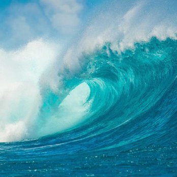 Ocean Label - Printing Services Near Me - Livermore, California Ocean Label - Printing Services Near Me - Livermore, California