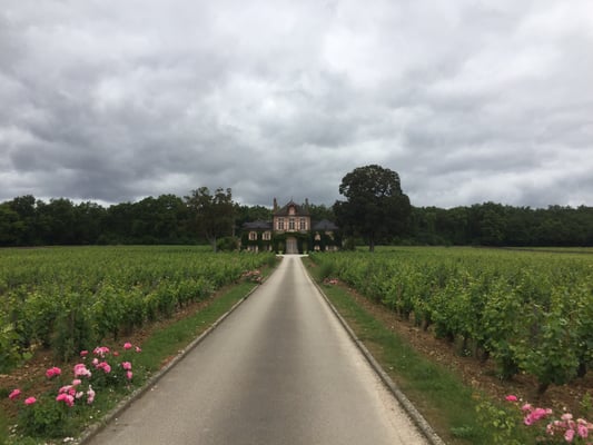 Domaine d'Ardhuy by null