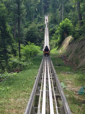 Smoky Mountain Alpine Coaster by null