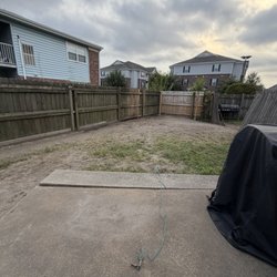The Whole 9 Tree Service - After Maple Tree removal