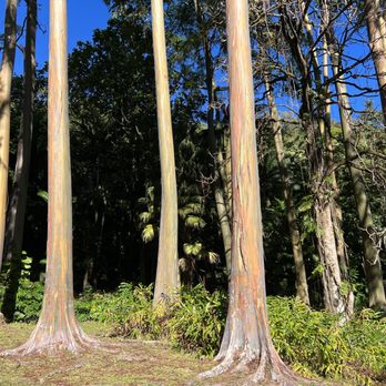 Ke'anae Arboretum - Parks Near Me - Kula, Hawaii