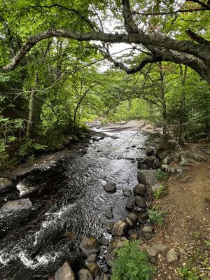 Arrowhead Provincial Park by null
